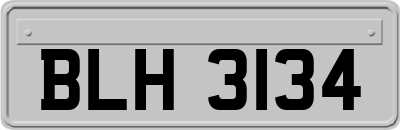 BLH3134