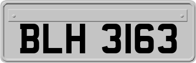 BLH3163