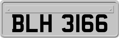 BLH3166