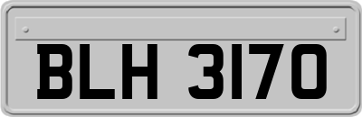BLH3170
