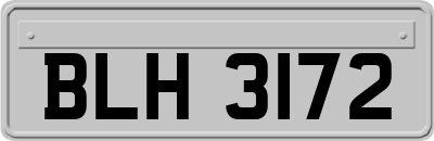 BLH3172