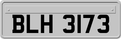 BLH3173