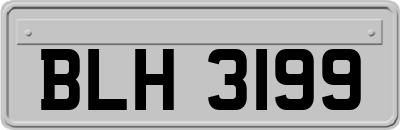 BLH3199