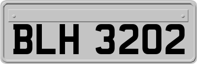 BLH3202