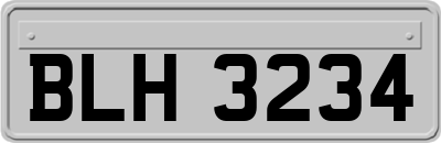 BLH3234