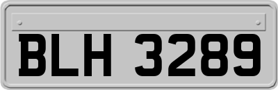 BLH3289