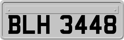 BLH3448