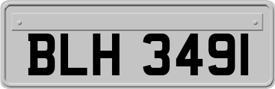 BLH3491