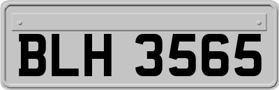 BLH3565