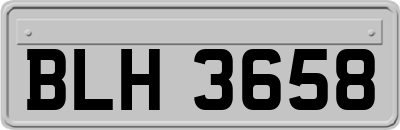 BLH3658