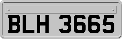 BLH3665