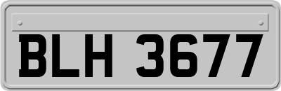 BLH3677