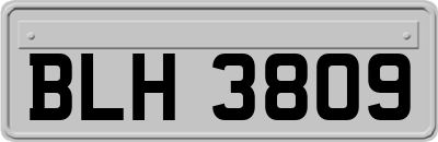 BLH3809
