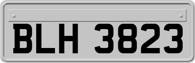 BLH3823