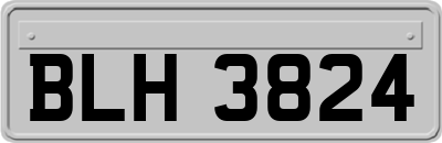 BLH3824