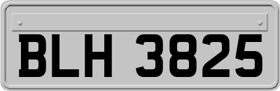 BLH3825