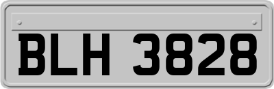 BLH3828