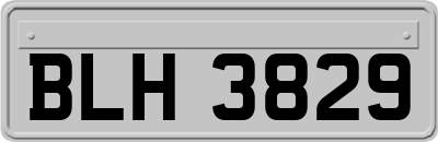 BLH3829