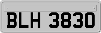 BLH3830