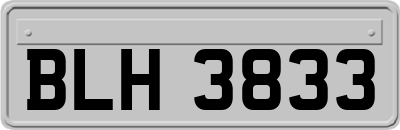 BLH3833