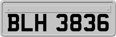 BLH3836