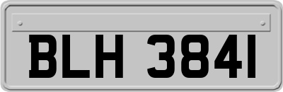 BLH3841