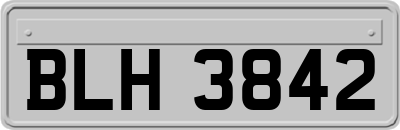 BLH3842
