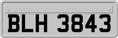 BLH3843