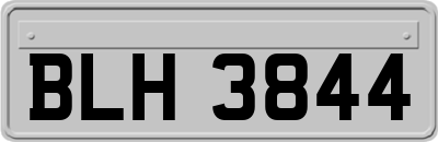 BLH3844