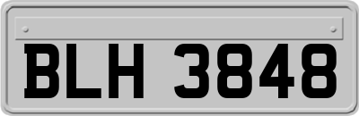 BLH3848
