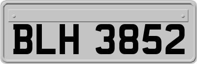 BLH3852