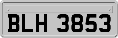 BLH3853