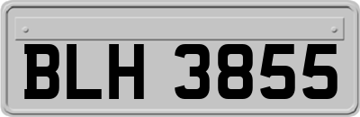 BLH3855
