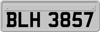 BLH3857