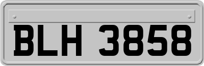 BLH3858