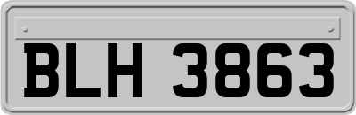 BLH3863