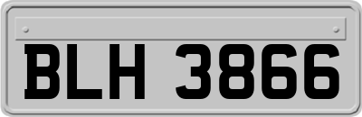 BLH3866