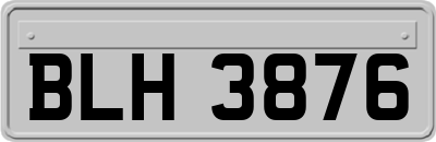 BLH3876