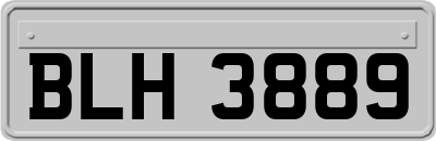 BLH3889