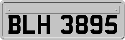 BLH3895