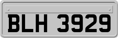 BLH3929