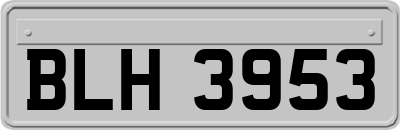 BLH3953