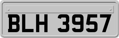 BLH3957