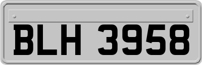 BLH3958