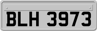 BLH3973