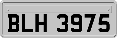 BLH3975