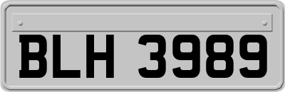 BLH3989