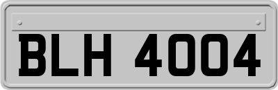 BLH4004