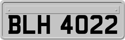 BLH4022
