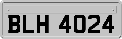 BLH4024